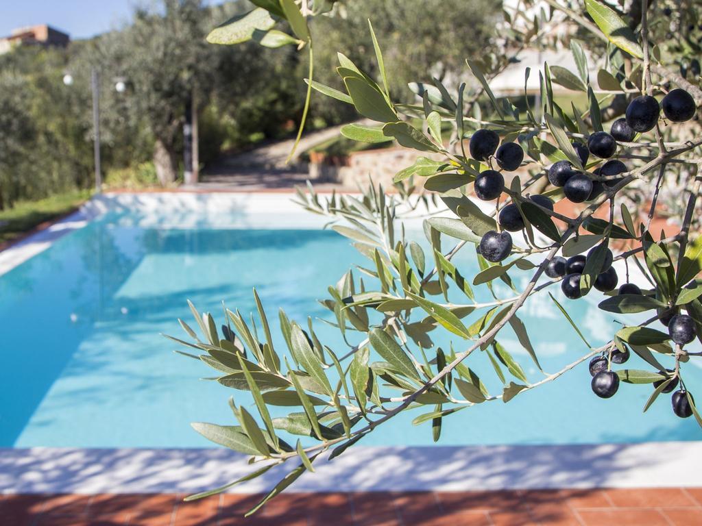 Modern Apartment In Larciano With Swimming Pool Dış mekan fotoğraf